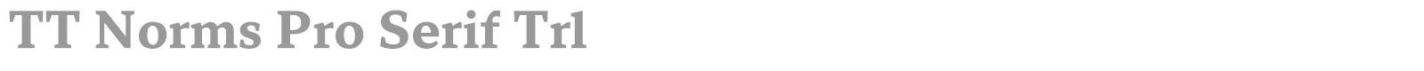 TT Norms Pro Serif font preview